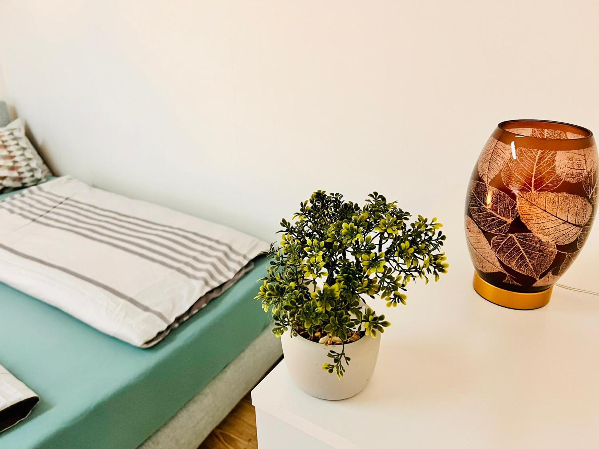 Stylish With Beautiful Ambiance Apartment *